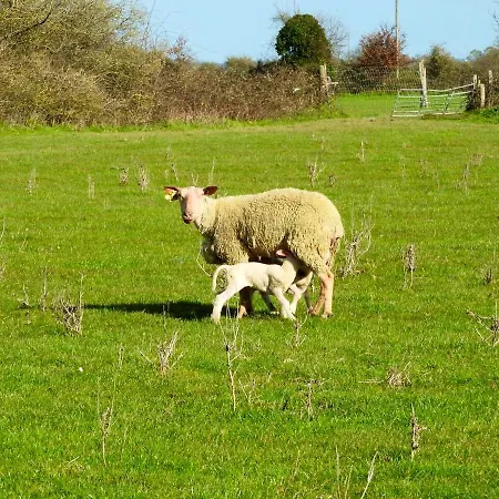 Propriete De 3 Avec Jardin Amenage Et Wifi A Les Aubiers * Nueil-sous-les-Aubiers
