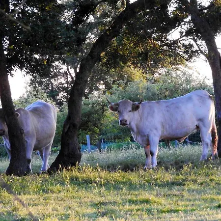 Propriete De 3 Avec Jardin Amenage Et Wifi A Les Aubiers * Nueil-sous-les-Aubiers