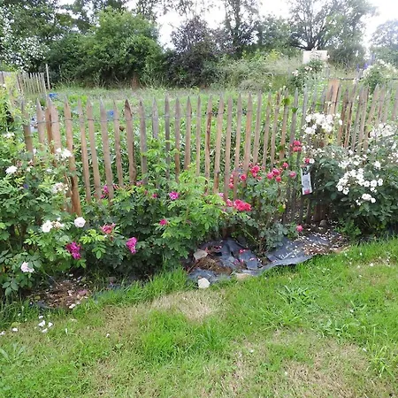 Maison Charmante Pres De Nueil-les-aubiers Avec Jardin Nueil-sous-les-Aubiers
