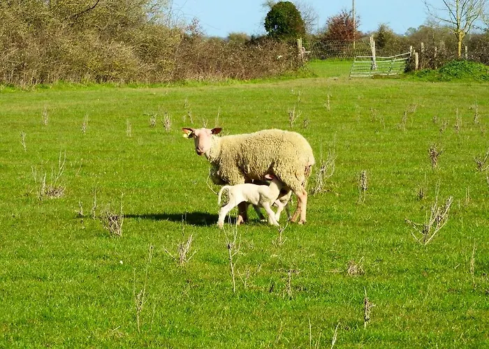 Maison Charmante Pres De Nueil-les-aubiers Avec Jardin * Nueil-sous-les-Aubiers