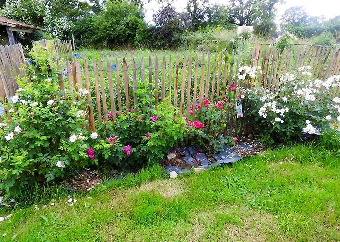 Maison Charmante Pres De Nueil-les-aubiers Avec Jardin *